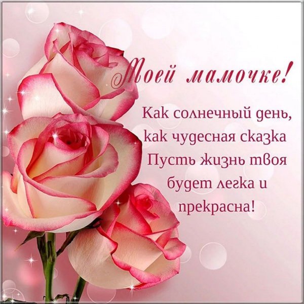 IMG 20260813 211359 946