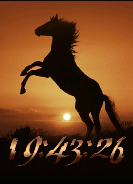 Horse...