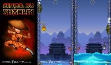 Shaolin Jump Samsung 240 x320