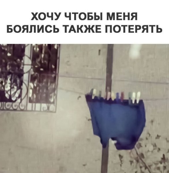 FB IMG 1778184252386
