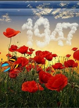 file_57173954