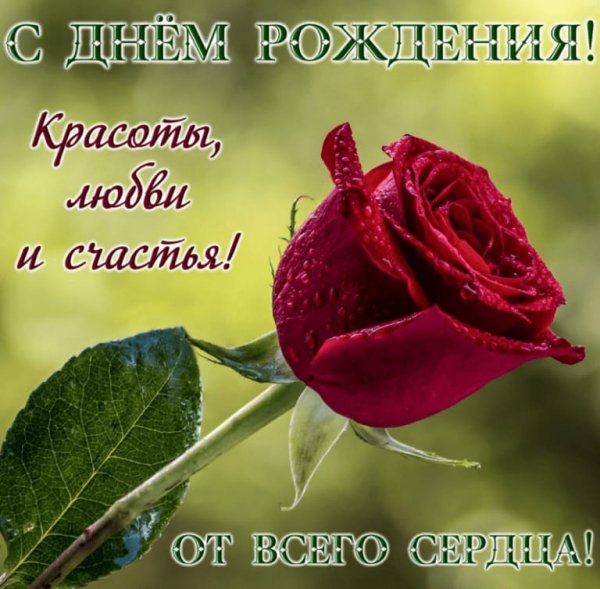 IMG-20210912-WA0000