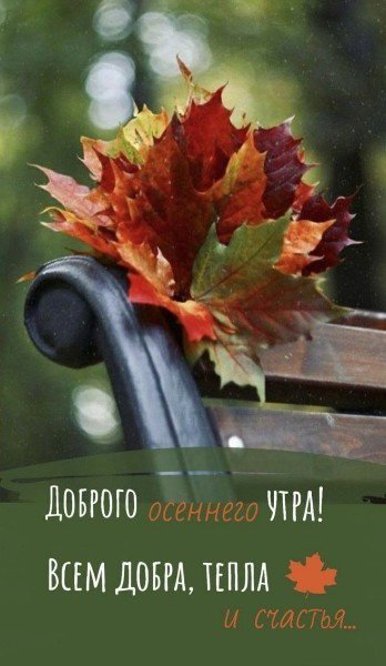 file_94986950