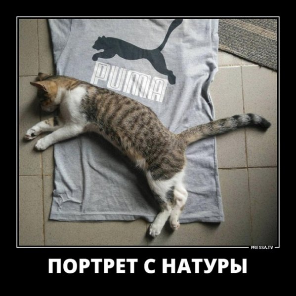 Портрет с натуры
