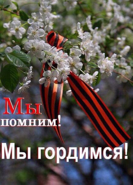 file_73497182
