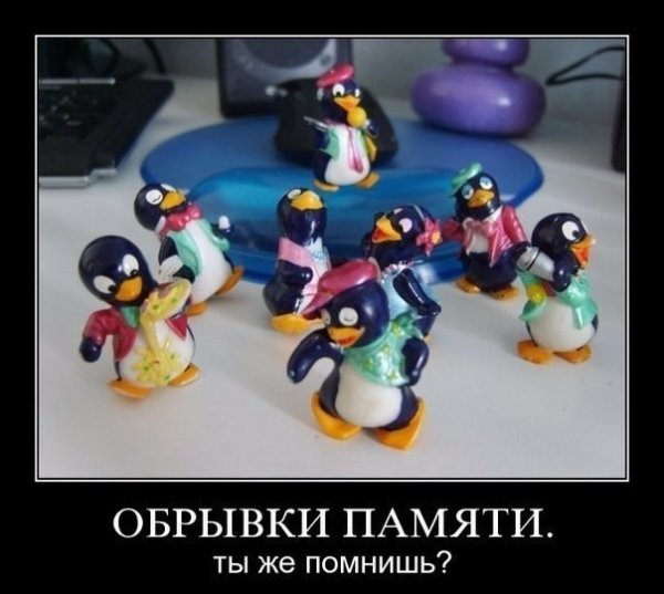 file_74508814