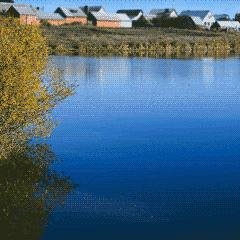 рыбалка