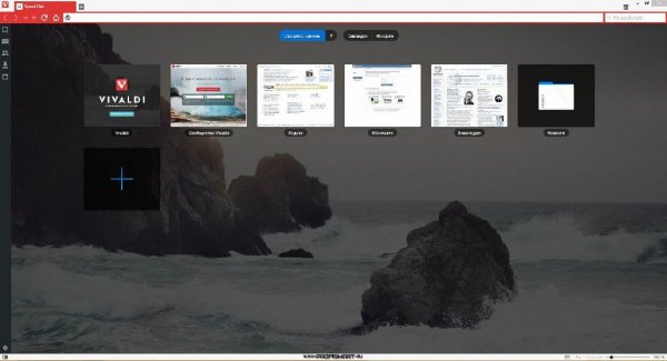 Vivaldi.1.13.1008.44 x64