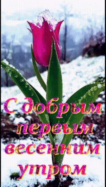 С добрым первым весенним утром