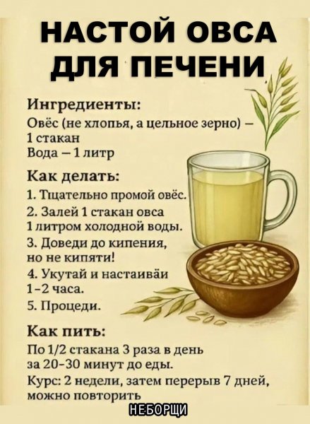 Настой овса для печени