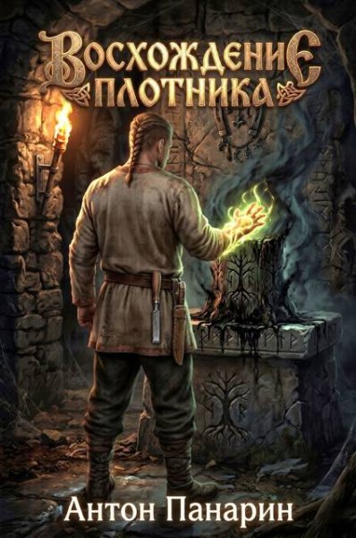 Антон Панарин Восхождение Плотника. Том 4
