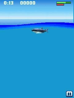 hungry shark 176x208