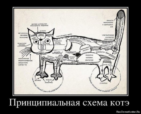 Принципиальная схема кота...