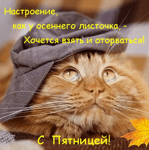 file_93241480