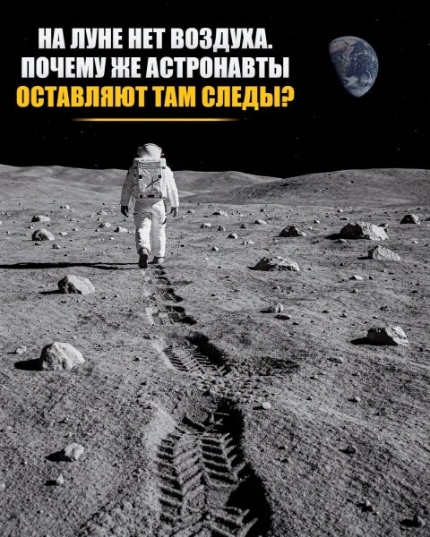file_103239449