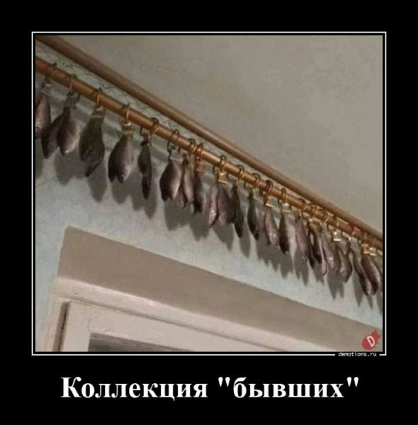 Вместо штор у рыбака