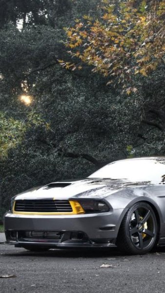 splash Mustang