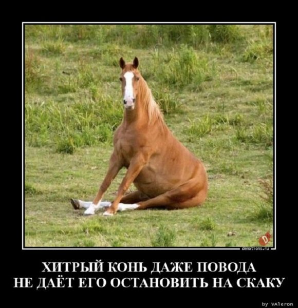 Хитрый конь