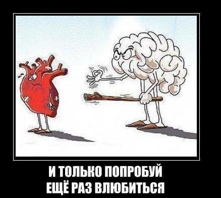 file_64311005
