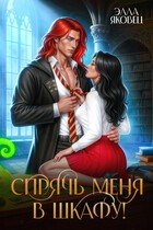 Яковец Элла Спрячь меня в шкафу! (2025)
