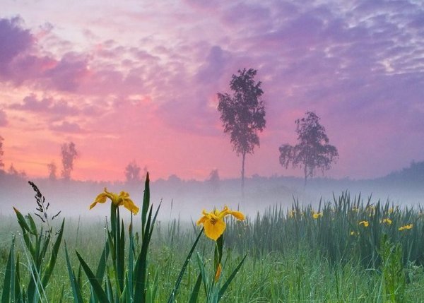 8hs17i5FpkG8NJ9v7VyfVrg4BizKW01TKQo3OA1t8eV9QNdlEuBUAqJ61wo8