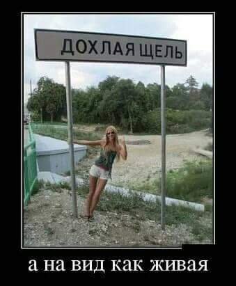 И как вам?