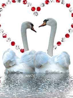 dve shei