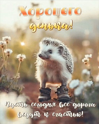 Анимированная открытка пусть все дороги