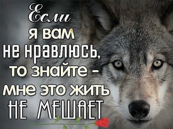 IMG 20251104 154937