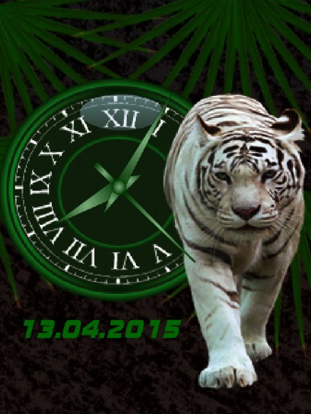 Tigr