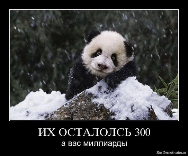 Их осталось 300...