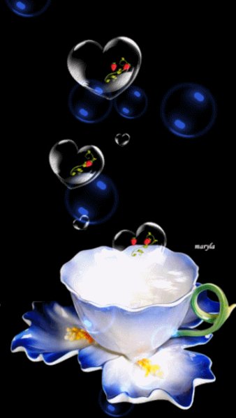 lovecup dbgl7AFV