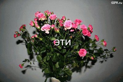 file_58313911