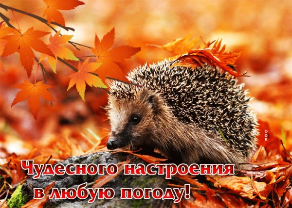 file_100887180