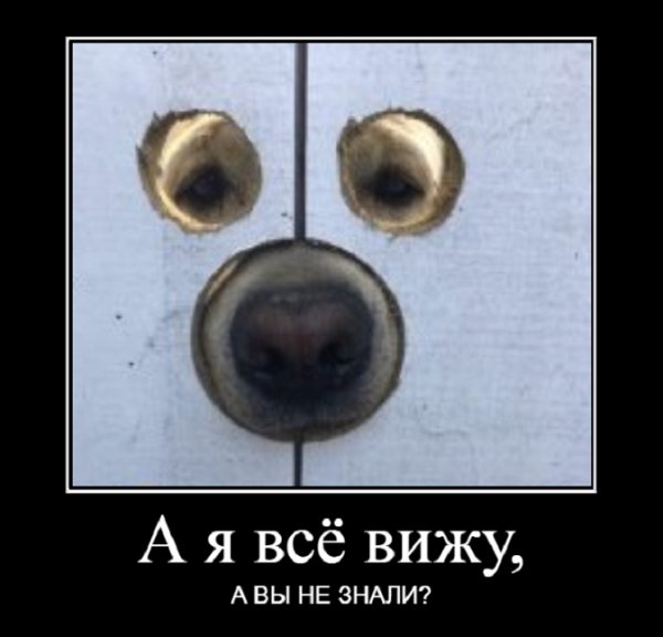 А я всё вижу...