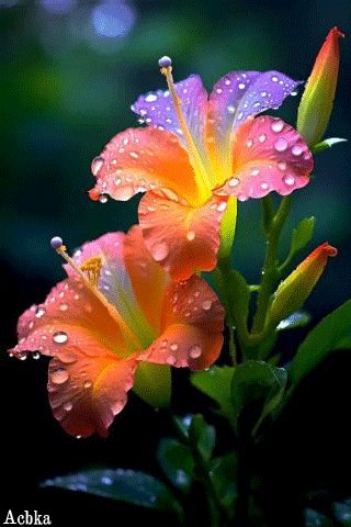 file_95413138