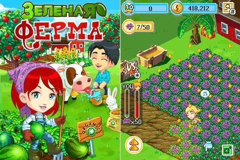 x208-green farm