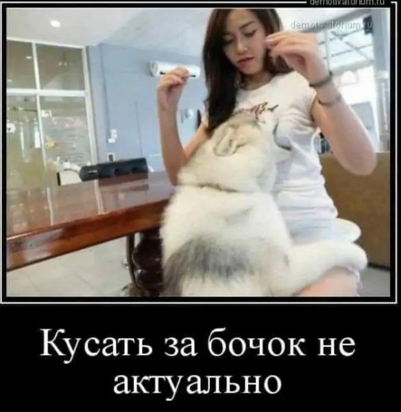 file_98147177