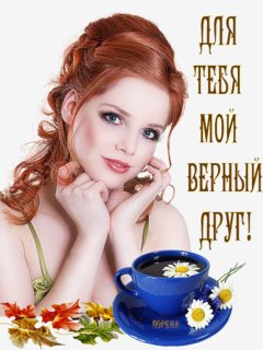 1f7beb184c549178fb816c725bc694ea