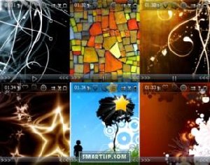 ttpod skins 176x208