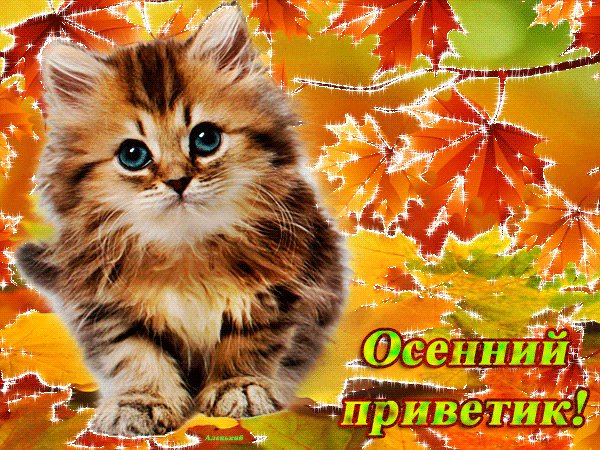 Анимированная открытка осенний приветик