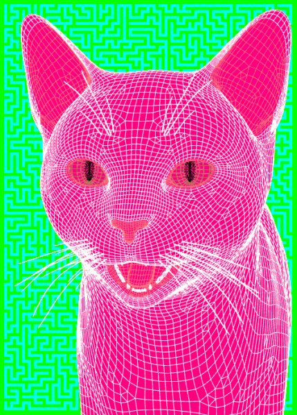 Котик
