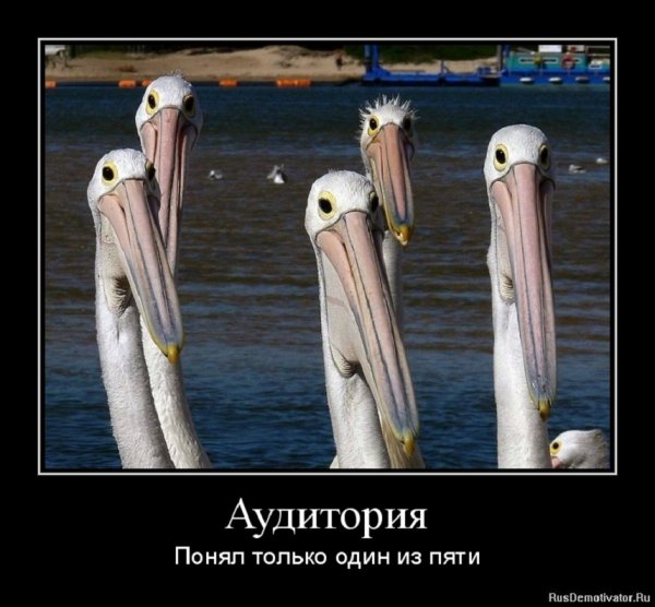 Понял только один из пяти