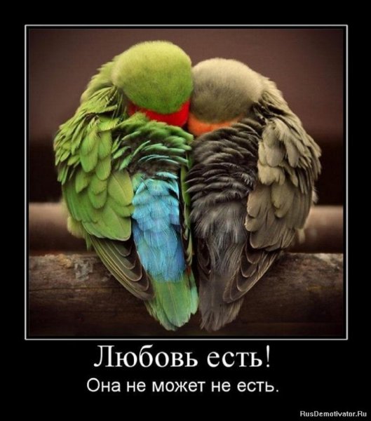 Любовь есть! Она не может не есть...