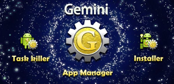 Gemini App Manager Full 3.3.5