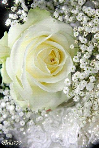 file_52478016