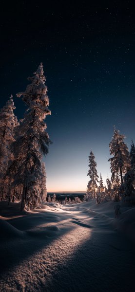 file_102142868