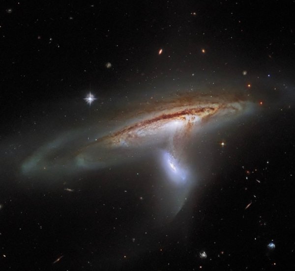 Arp 282