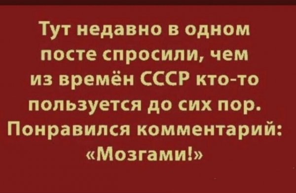 file_101576642