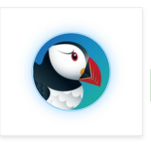 Puffin v9 6 0 51126 Mod
